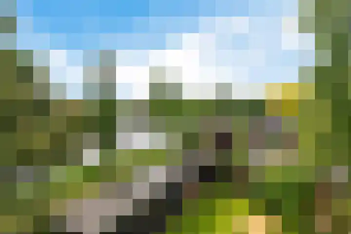 Helmhout 159 Joure thumbnail 34