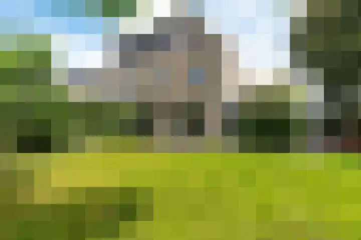 Helmhout 159 Joure thumbnail 35