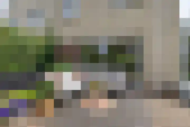 Helmhout 159 Joure thumbnail 36
