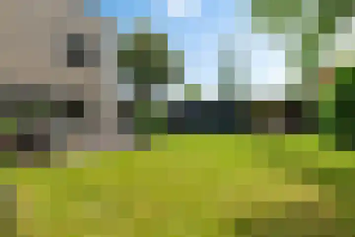 Helmhout 159 Joure thumbnail 37