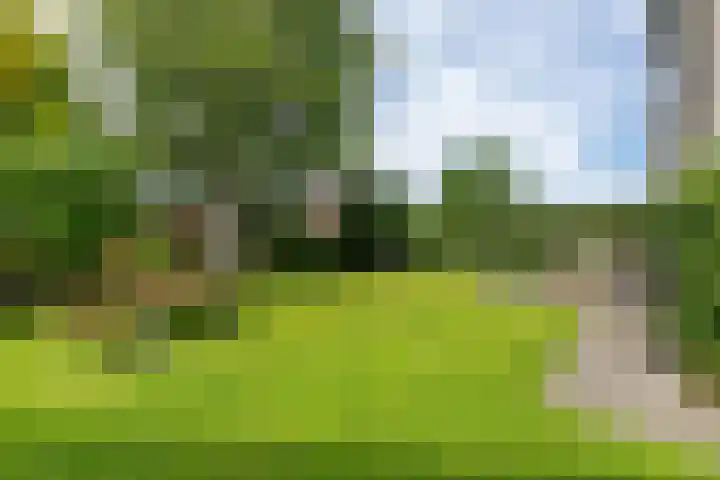 Helmhout 159 Joure thumbnail 38