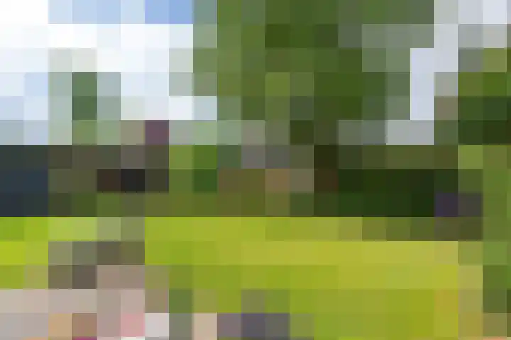 Helmhout 159 Joure thumbnail 39