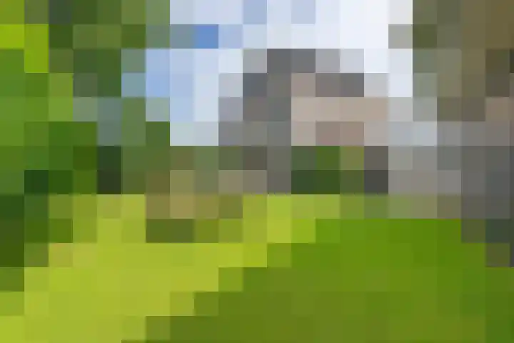 Helmhout 159 Joure thumbnail 4