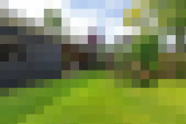 Helmhout 159 Joure thumbnail 40