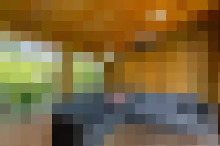 Helmhout 159 Joure thumbnail 42