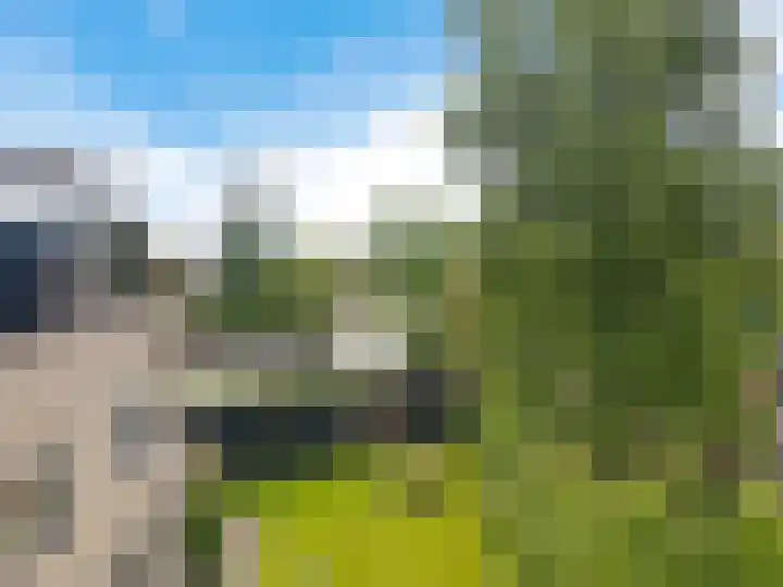 Helmhout 159 Joure thumbnail 43