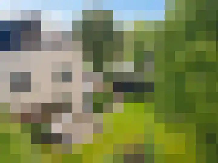 Helmhout 159 Joure thumbnail 44