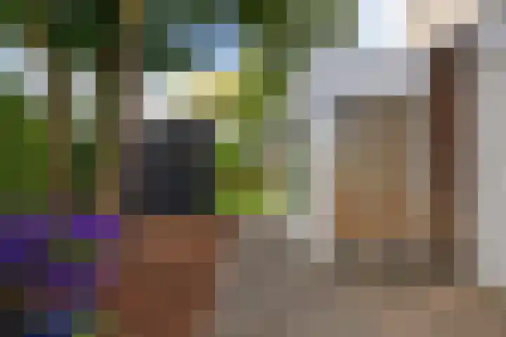Helmhout 159 Joure thumbnail 46