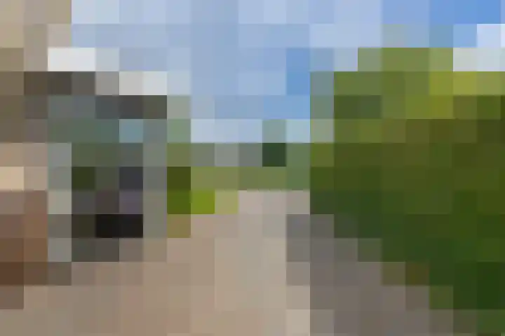 Helmhout 159 Joure thumbnail 47
