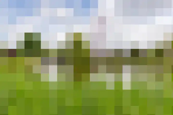 Helmhout 159 Joure thumbnail 5