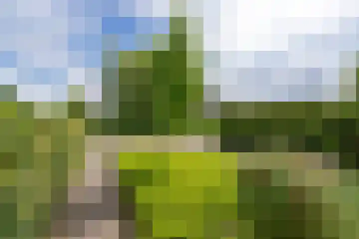Helmhout 159 Joure thumbnail 50
