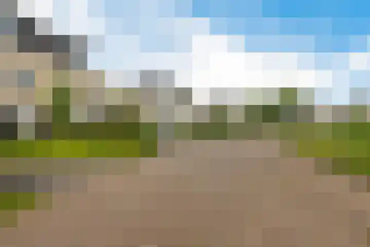 Helmhout 159 Joure thumbnail 51