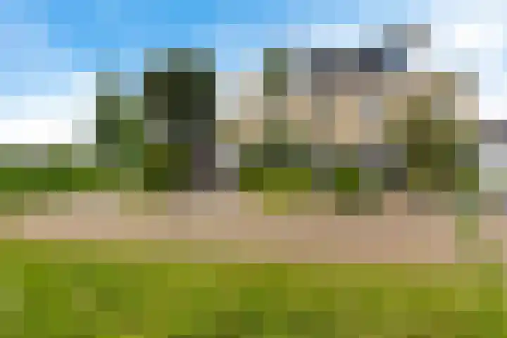 Helmhout 159 Joure thumbnail 6