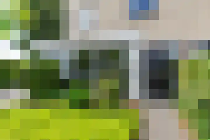 Helmhout 159 Joure thumbnail 7