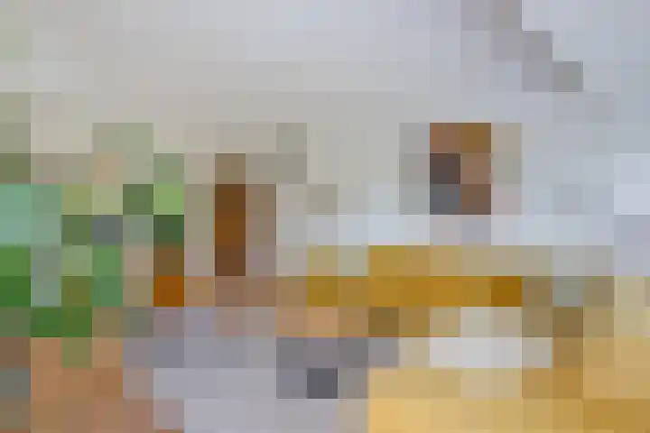 Helmhout 159 Joure thumbnail 9