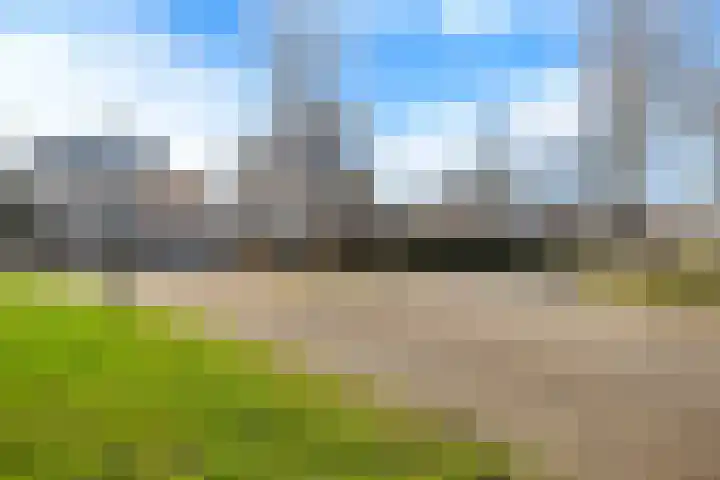 Helmhout 167 Joure thumbnail 10