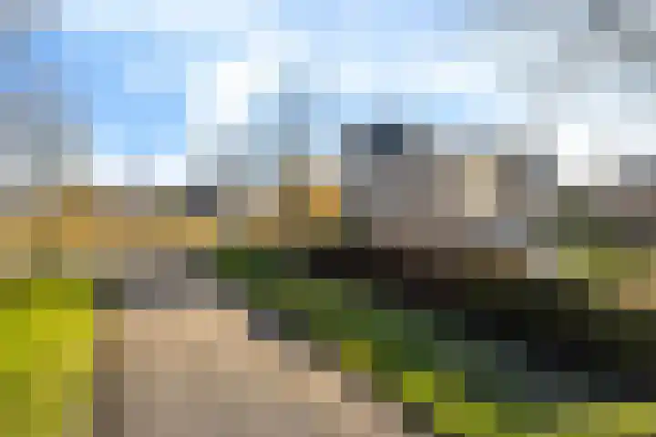 Helmhout 167 Joure thumbnail 11