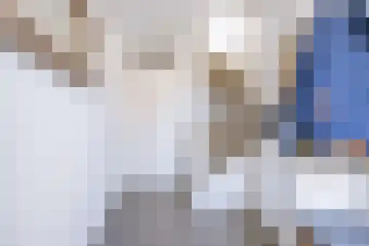 Helmhout 167 Joure thumbnail 12
