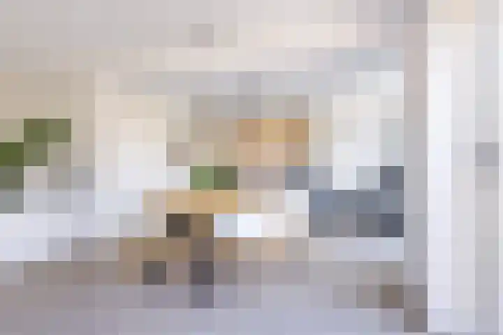 Helmhout 167 Joure thumbnail 14