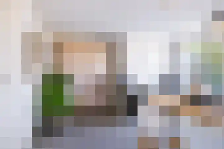 Helmhout 167 Joure thumbnail 15