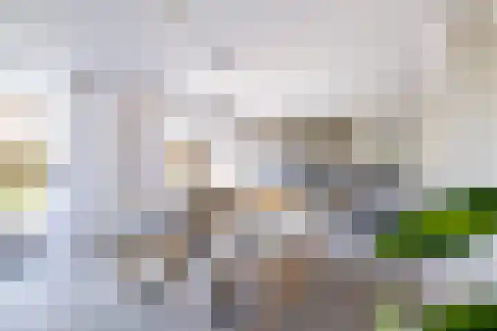 Helmhout 167 Joure thumbnail 16