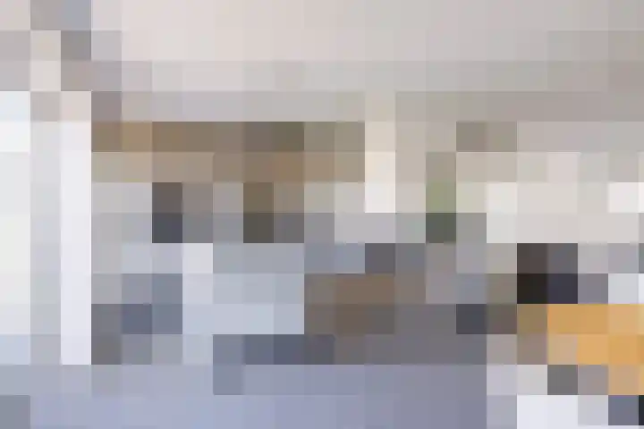 Helmhout 167 Joure thumbnail 17