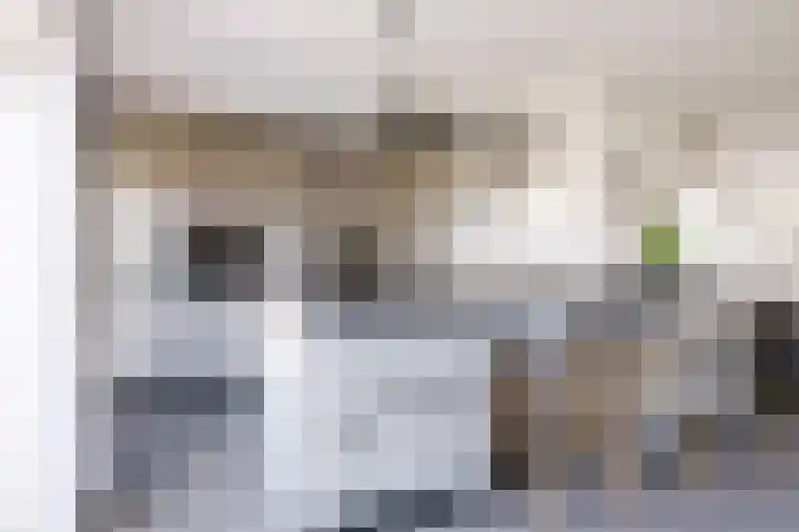 Helmhout 167 Joure thumbnail 18