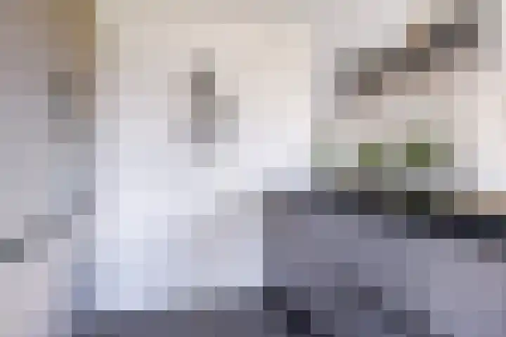 Helmhout 167 Joure thumbnail 19