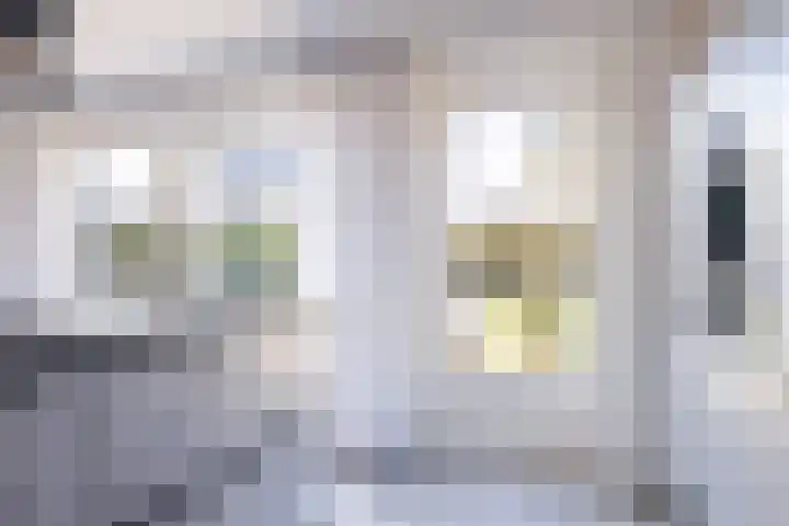 Helmhout 167 Joure thumbnail 20