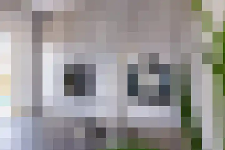 Helmhout 167 Joure thumbnail 21