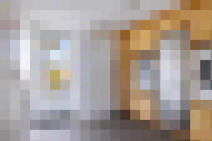 Helmhout 167 Joure thumbnail 22
