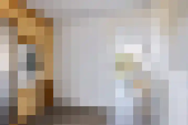 Helmhout 167 Joure thumbnail 23