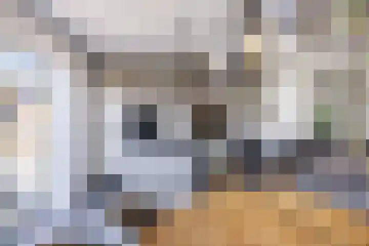 Helmhout 167 Joure thumbnail 24
