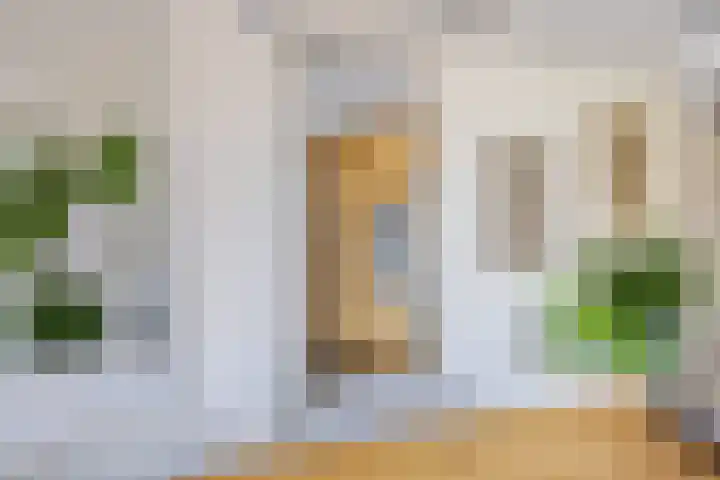 Helmhout 167 Joure thumbnail 25