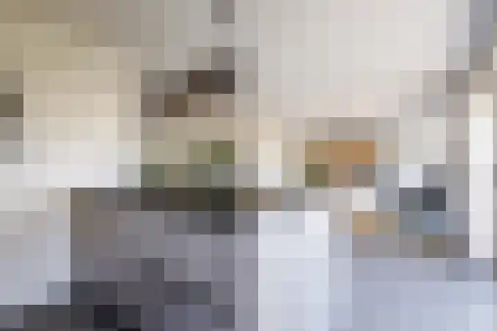 Helmhout 167 Joure thumbnail 26