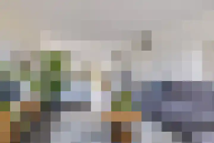 Helmhout 167 Joure thumbnail 27