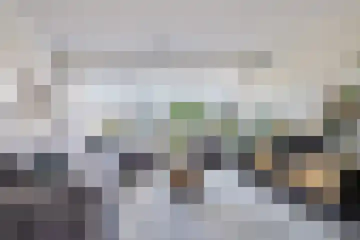 Helmhout 167 Joure thumbnail 28