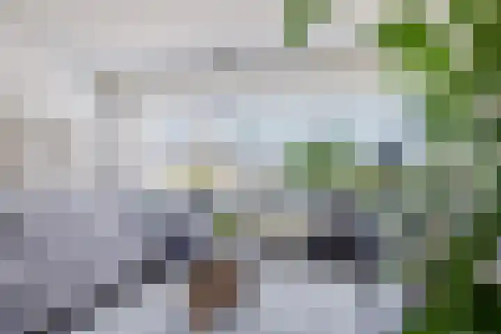 Helmhout 167 Joure thumbnail 29