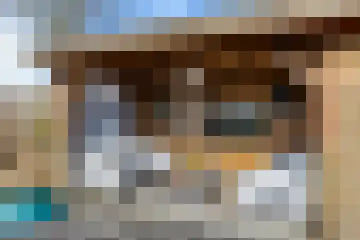 Helmhout 167 Joure thumbnail 31