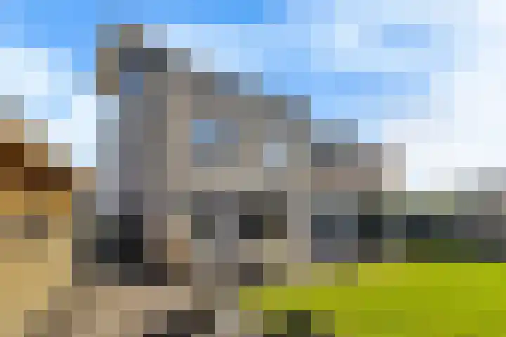 Helmhout 167 Joure thumbnail 32