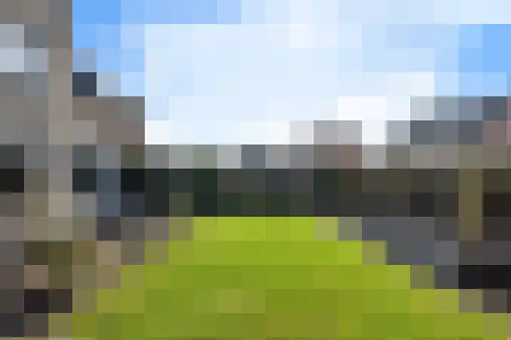 Helmhout 167 Joure thumbnail 33