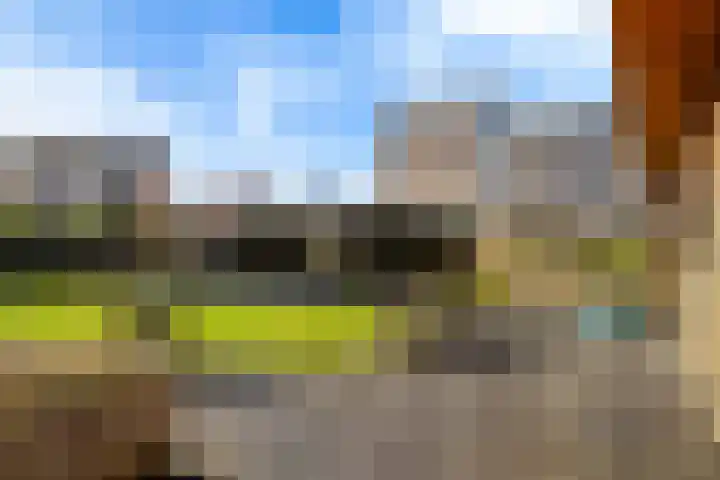 Helmhout 167 Joure thumbnail 34