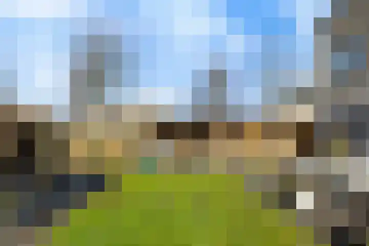 Helmhout 167 Joure thumbnail 35