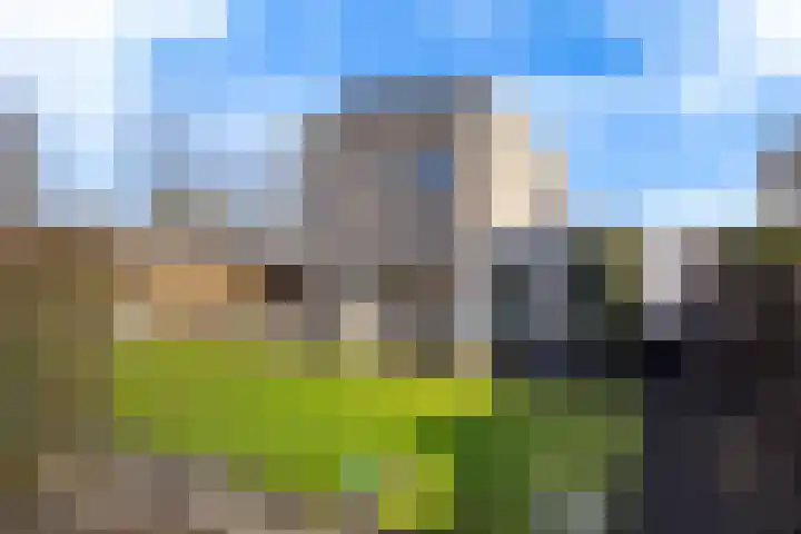Helmhout 167 Joure thumbnail 36