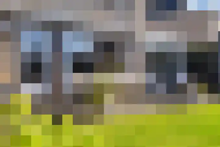 Helmhout 167 Joure thumbnail 37