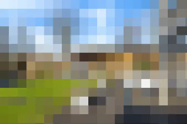 Helmhout 167 Joure thumbnail 38