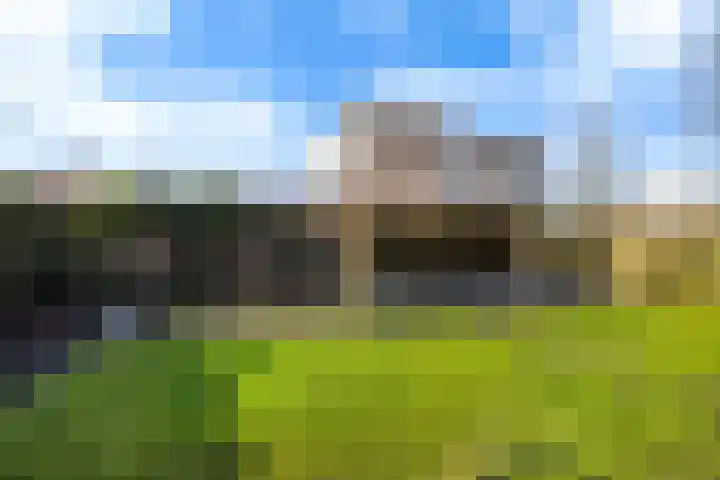 Helmhout 167 Joure thumbnail 39
