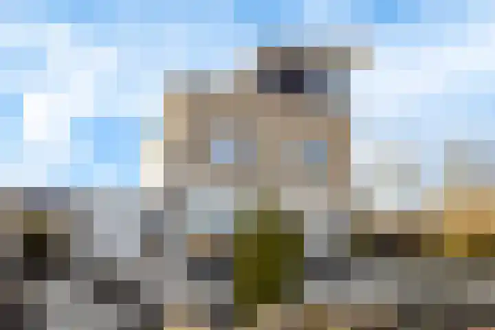 Helmhout 167 Joure thumbnail 4