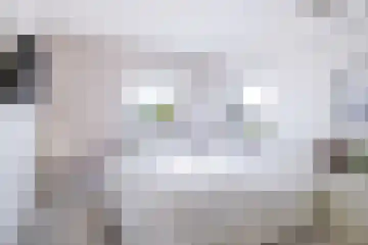 Helmhout 167 Joure thumbnail 41