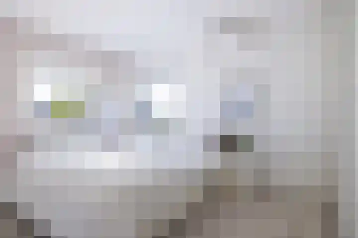 Helmhout 167 Joure thumbnail 43